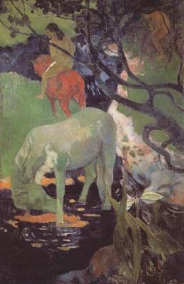 Paul Gauguin The White Horse (mk06) oil painting image